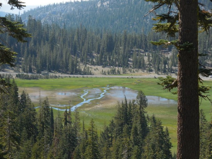 King Creek meadow
