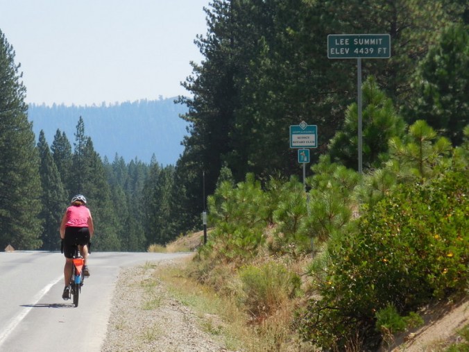 Lee Wagamatsu Summit 2