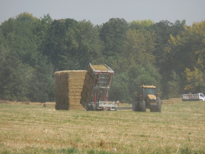 Making Great wall o' wheat