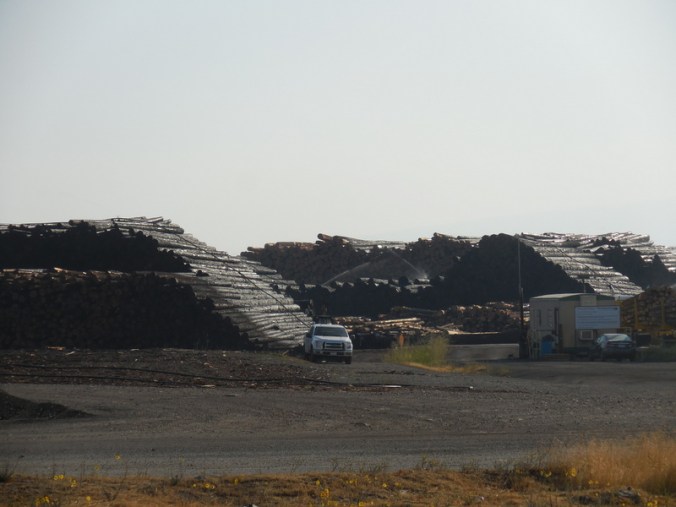 Morning at the lumber mill 2