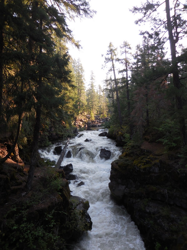 Natural bridge on the Rogue 2
