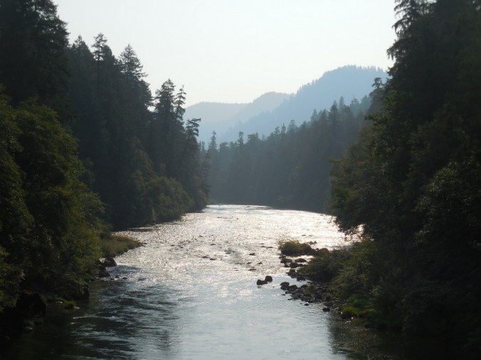 North Umqua River 5