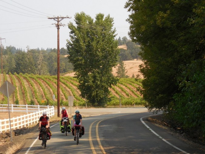 RIders in the vines