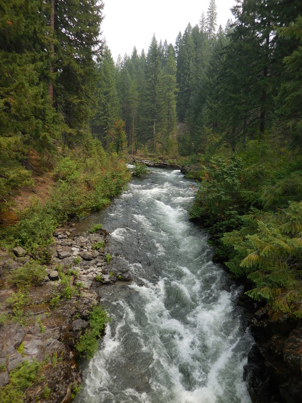 Rogue River 5
