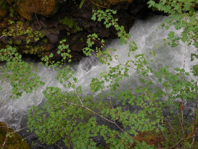 Rogue River Gorge 2