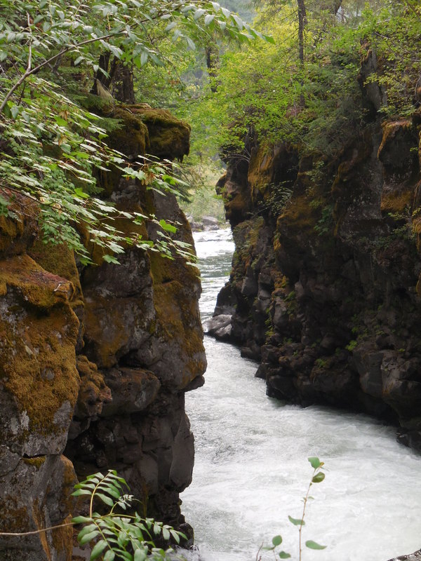Rogue River Gorge 4