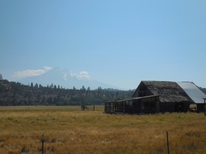 Shasta and farm in sun