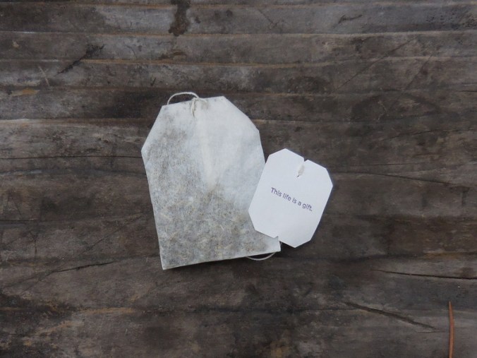 Tea bag thought of the day