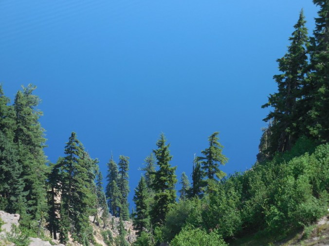 Trees and lake behind 1