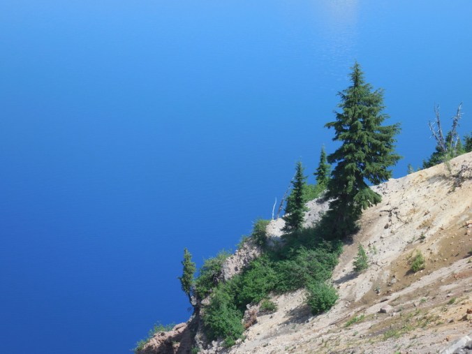 Trees and lake behind 2
