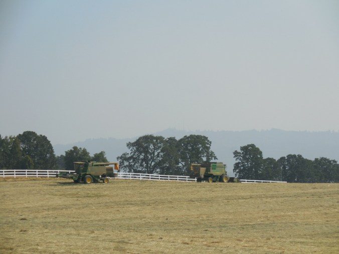 Willamette Valley combines