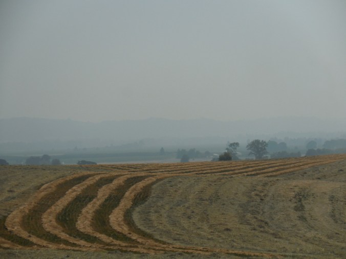 Willamette Valley view 1