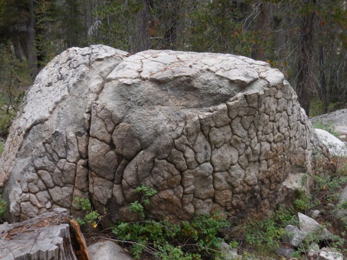 Brain Rock - we named it