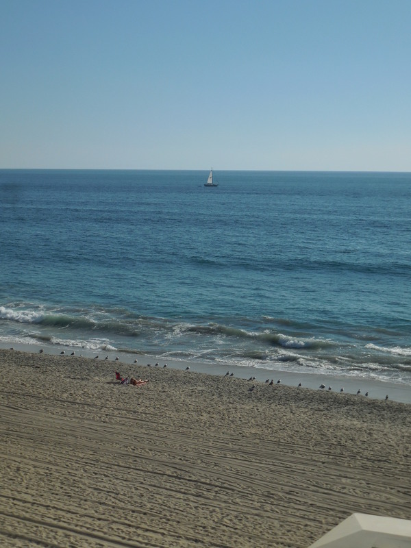 Carlsbad beach scene 1