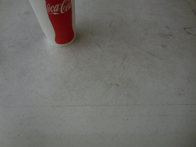 Lunch - all that remained