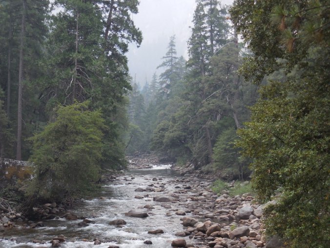 Merced River 1