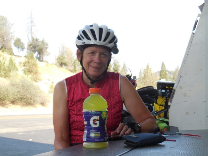 Morning tea in North Fork