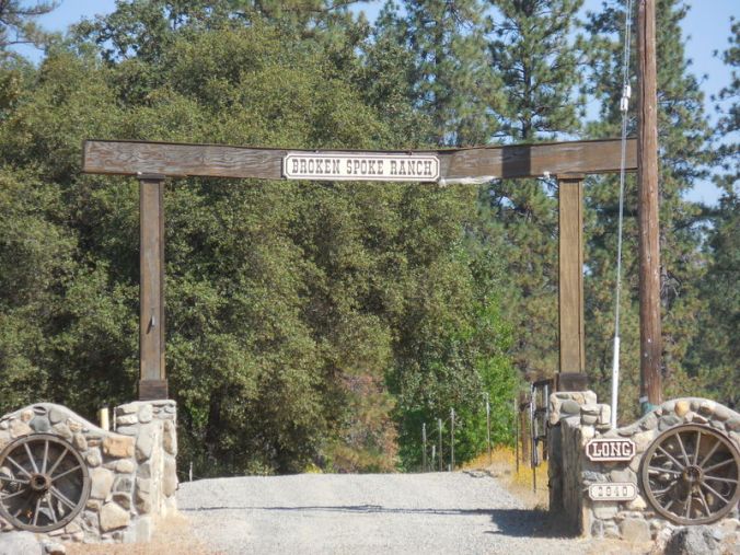 My least favourite ranch