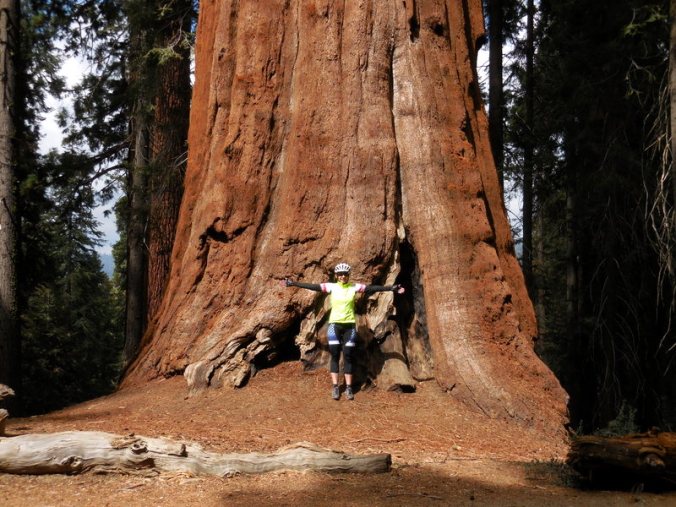 Nancy and a big tree