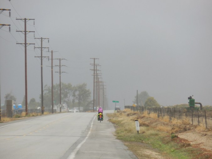 Nancy and the morning 1