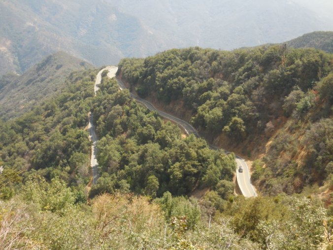 View off Sequoia NP - road