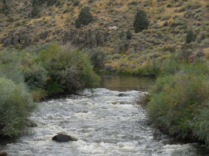 Walker River