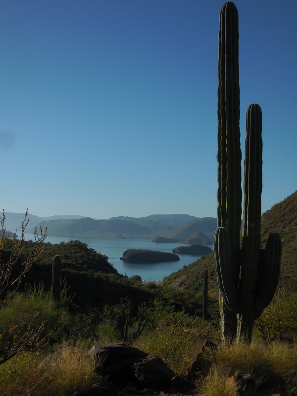 Bay of Concepcion Baja 5