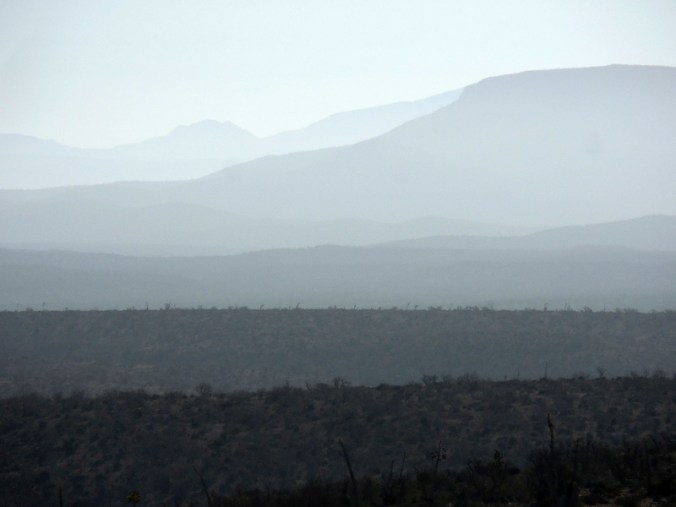 Morning looking east