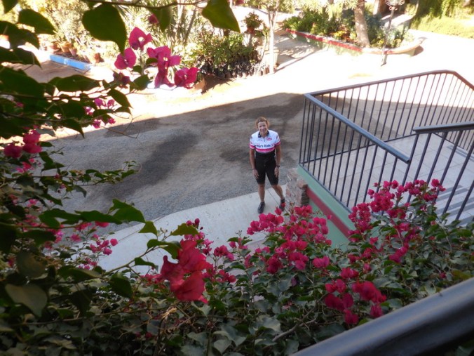 Nancy in the morning