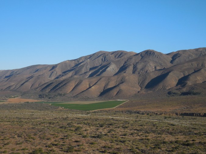 North Baja mountains in morning 1 (2)