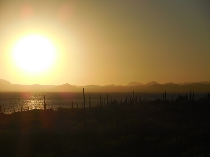 Sunrise on Conception Bay 6