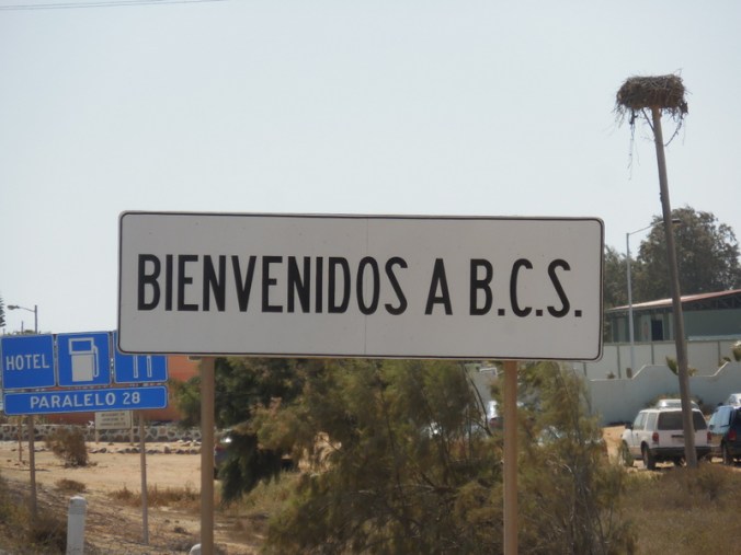 Welcome to Baja California South