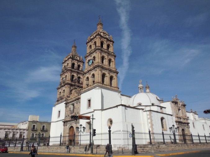 Catedral Basilica Menor Inmaculada Concepción 6