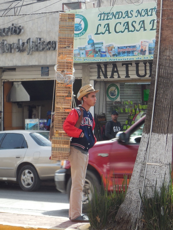 Man with bird cage backpack