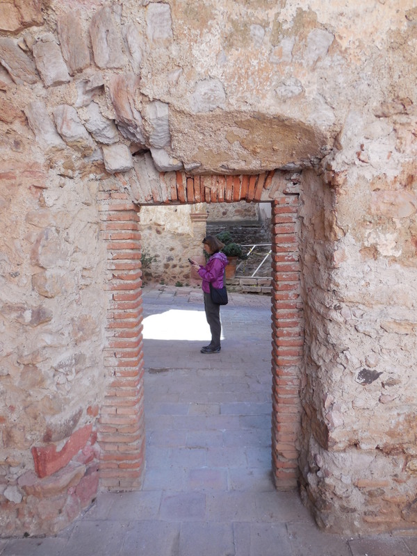 Museo Pedro Coronel - Nancy