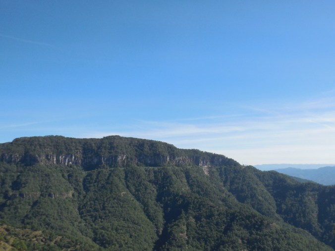 View of the backbone 3