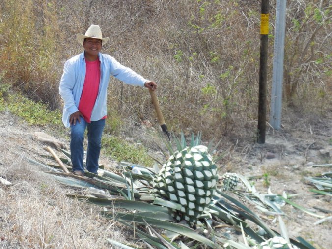 Agave cutter, happy to have his photo taken