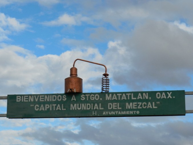 Mezcal land