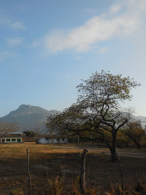 Morning Sierra Madres 2