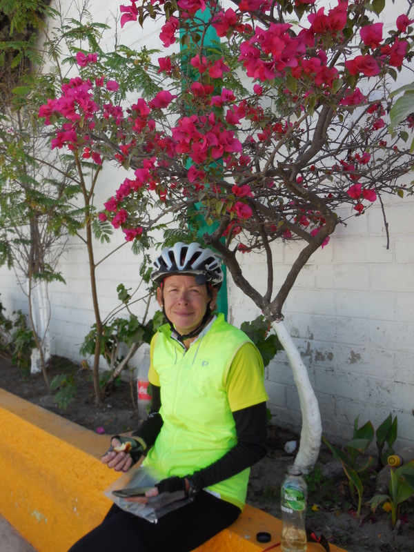 Morning tea - what headwind