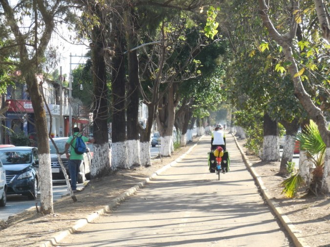 Nancy on the bike path in the morning