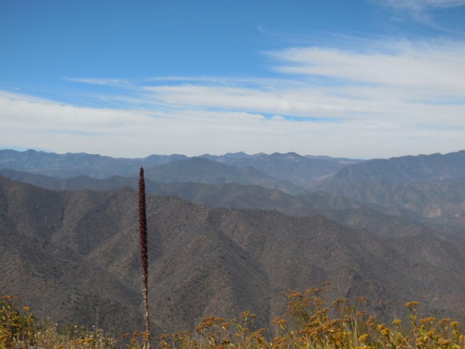 Near the top, riding the ridges