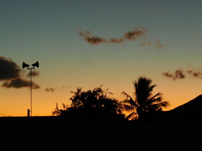 Up with the sparrows this morning