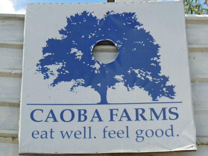 Caoba Farms 1
