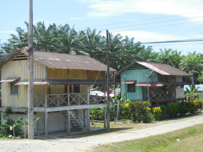 Classic Queenslander 1