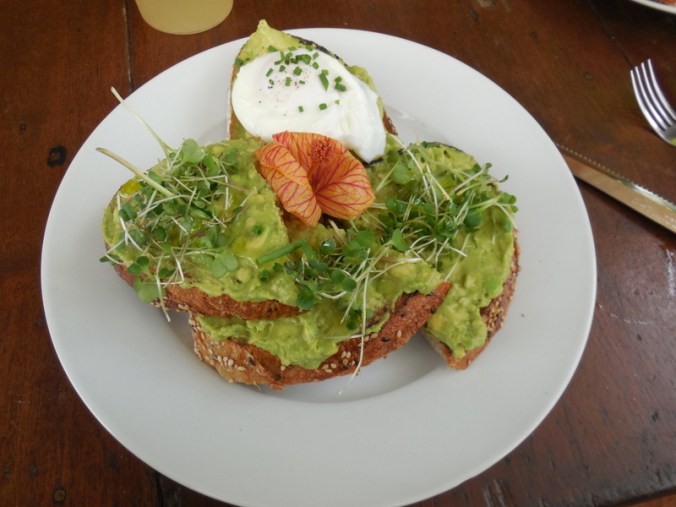 Lunch at Caoba Farms