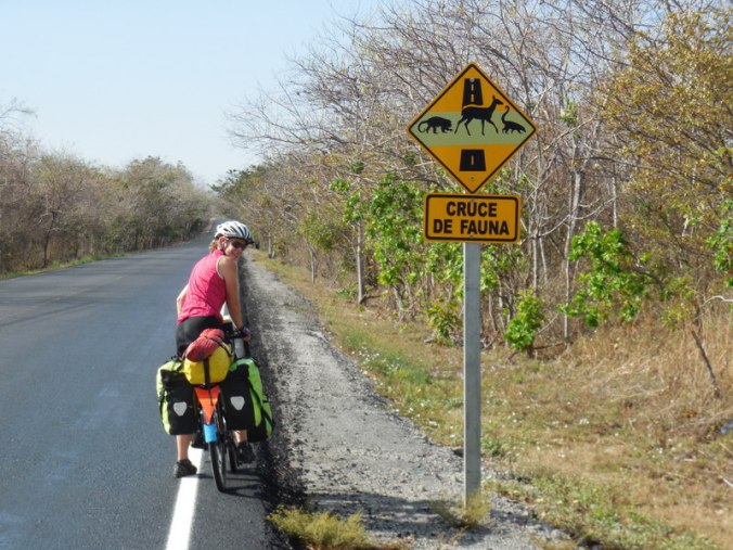 Nancy and a new animal sign