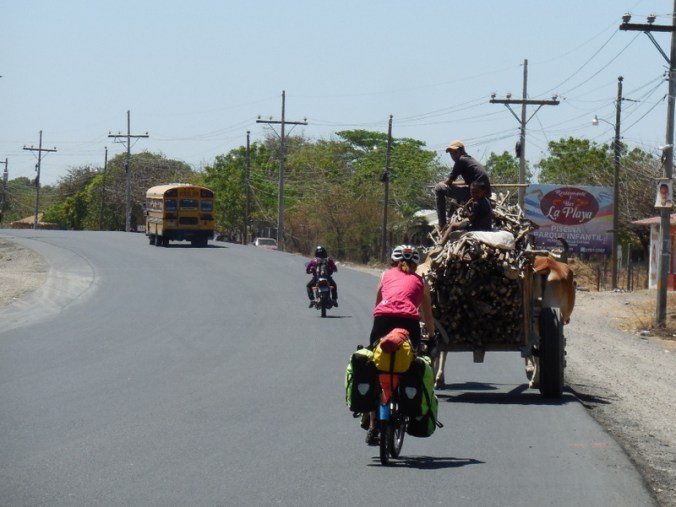 Nancy drafting the ox cast
