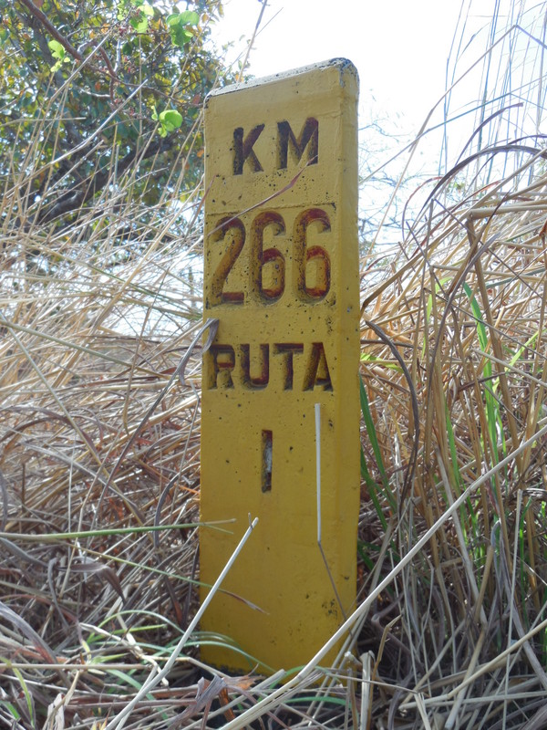 Ruta 1