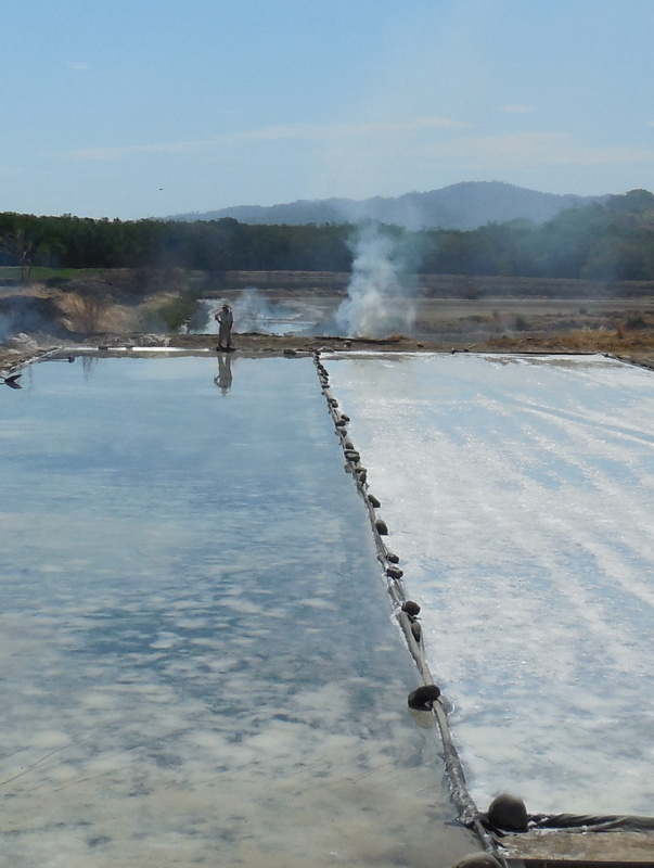 Salt farm 1